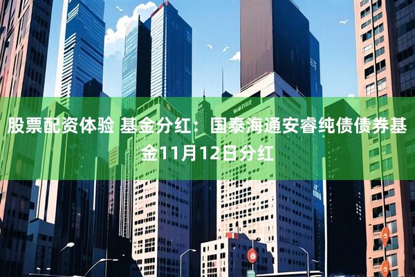 股票配资体验 基金分红：国泰海通安睿纯债债券基金11月12日分红